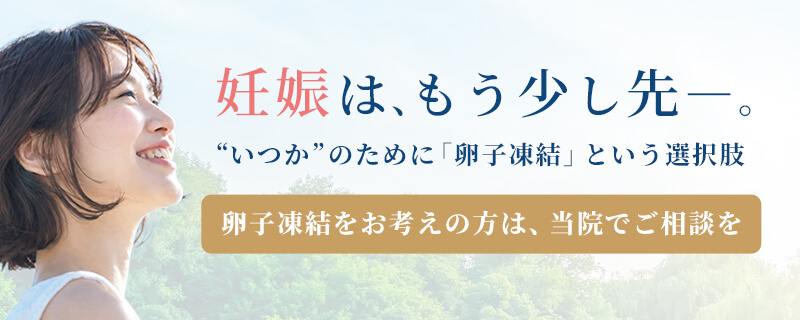 妊娠はもう少し先。「いつか」のために、卵子凍結という選択肢。
